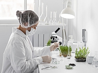 Aroma Tohum | Yüksek Verimli Sertifikalı Profesyonel Tohum Üretimi 2 Aroma Tohum | Yüksek Verimli Sertifikalı Profesyonel Tohum Üretimi 2