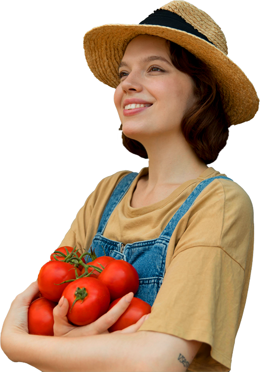 Aroma Tohum | Yüksek Verimli Sertifikalı Profesyonel Tohum Üretimi