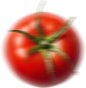 Aroma Tohum | Yüksek Verimli Sertifikalı Profesyonel Tohum Üretimi