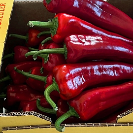 Hazal Kapya Biber 3 Hazal Kapya Biber 3